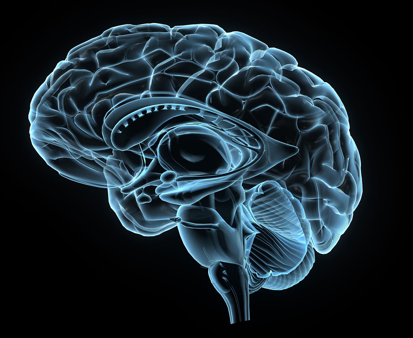 Röntgenpilt inimese ajust.