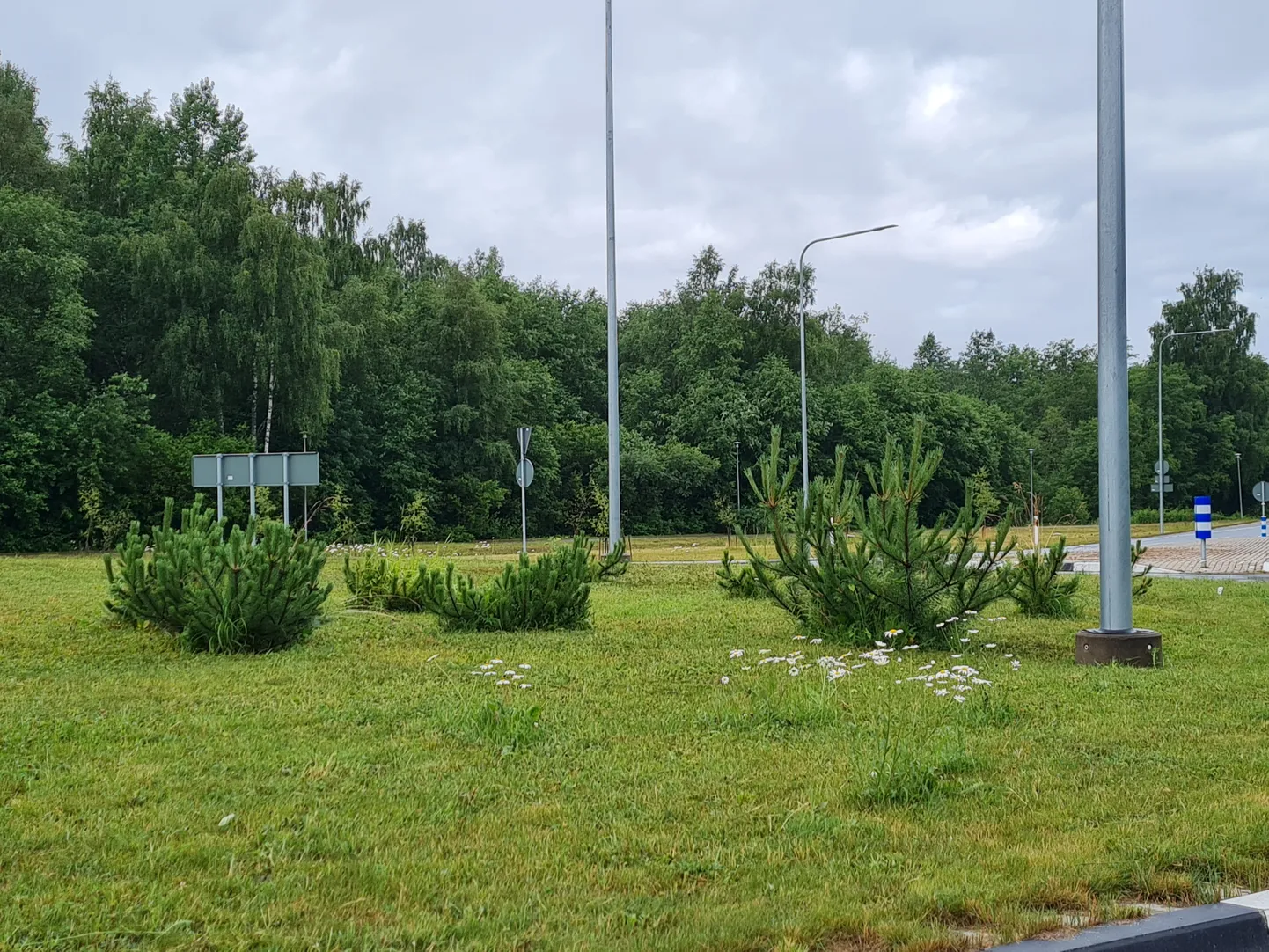 Artikli foto