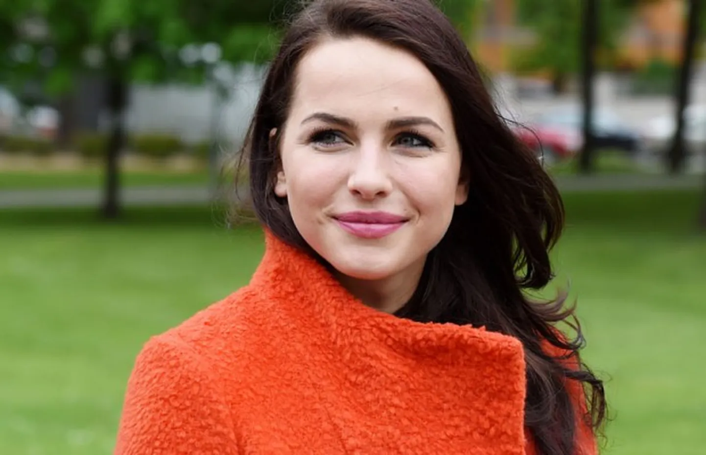 Raksta foto