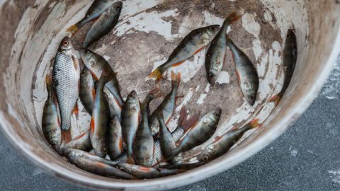 Особенности национальной рыбалки: что поменяется для рыбаков этой весной