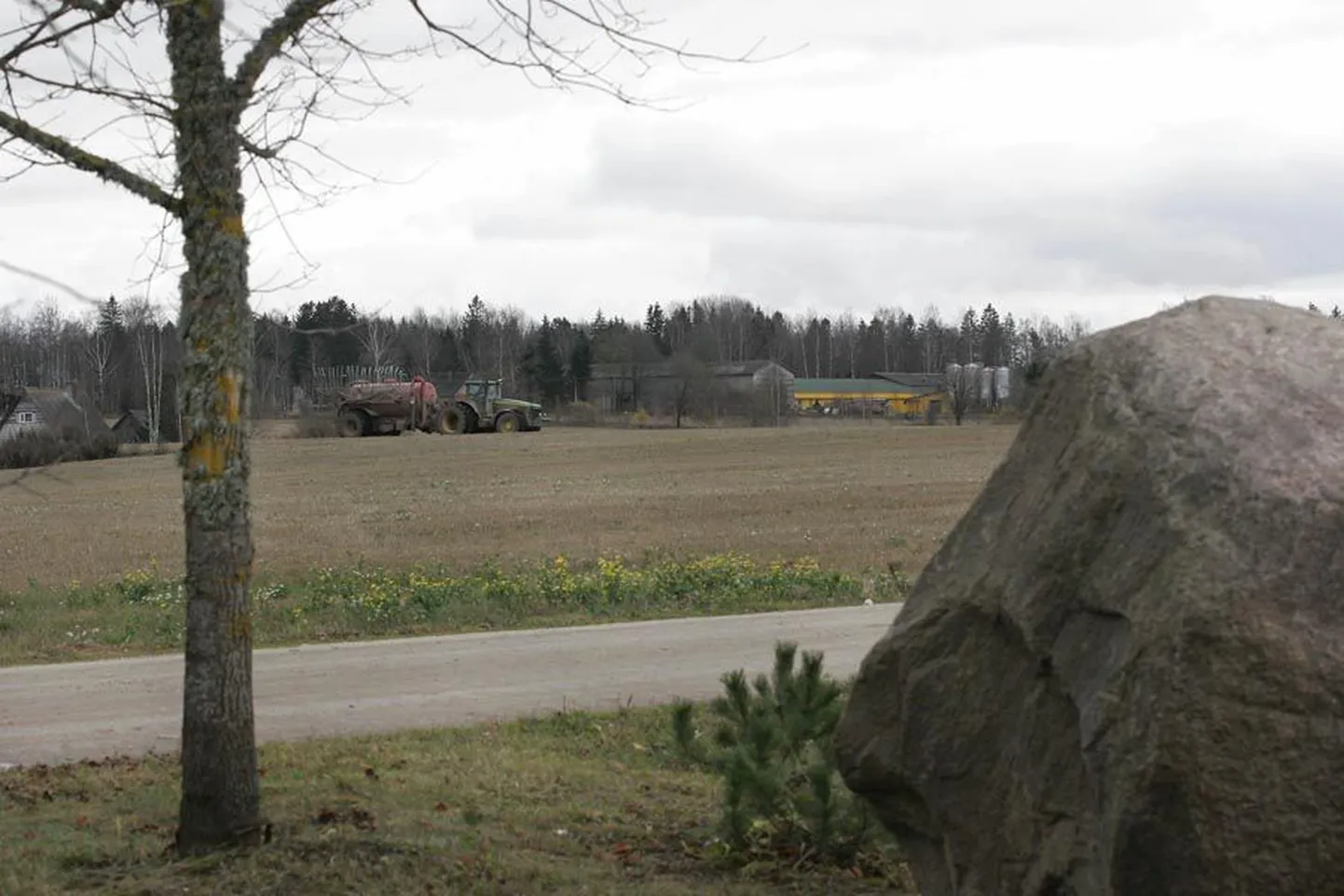 Enamiku talude suurim mure on tootmise laiendamiseks vajaliku maa nappus. Uue seaduse järgi saavad põllumehed endale osta osa põldudest, mida nad seni on riigilt rentinud. Maaharijate arvates võinuks maa neile müüa siis, kui see veel odavam oli.