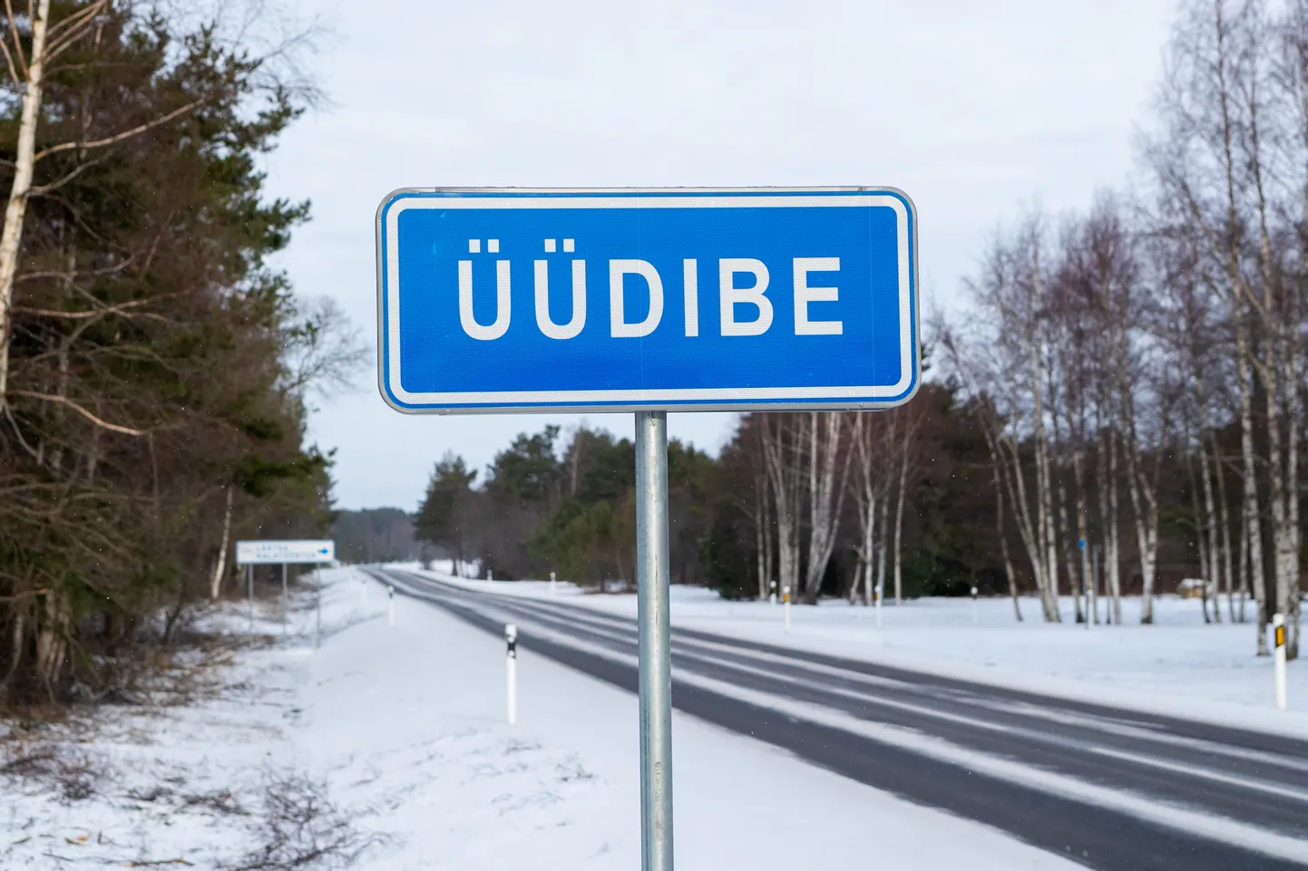 ÜÜDIBE küla ulatub Salme ja Läätsa vahel kitsa ja inimtühja siiluna kuni Sõrve maanteeni.