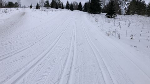 KINDEL ⟩ Tartu maraton suusatatakse täies pikkuses originaalrajal