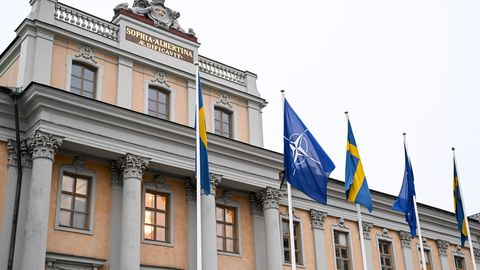 Vseviov kohtus Stockholmis Rootsi kolleegiga julgeolekuolukorra arutamiseks