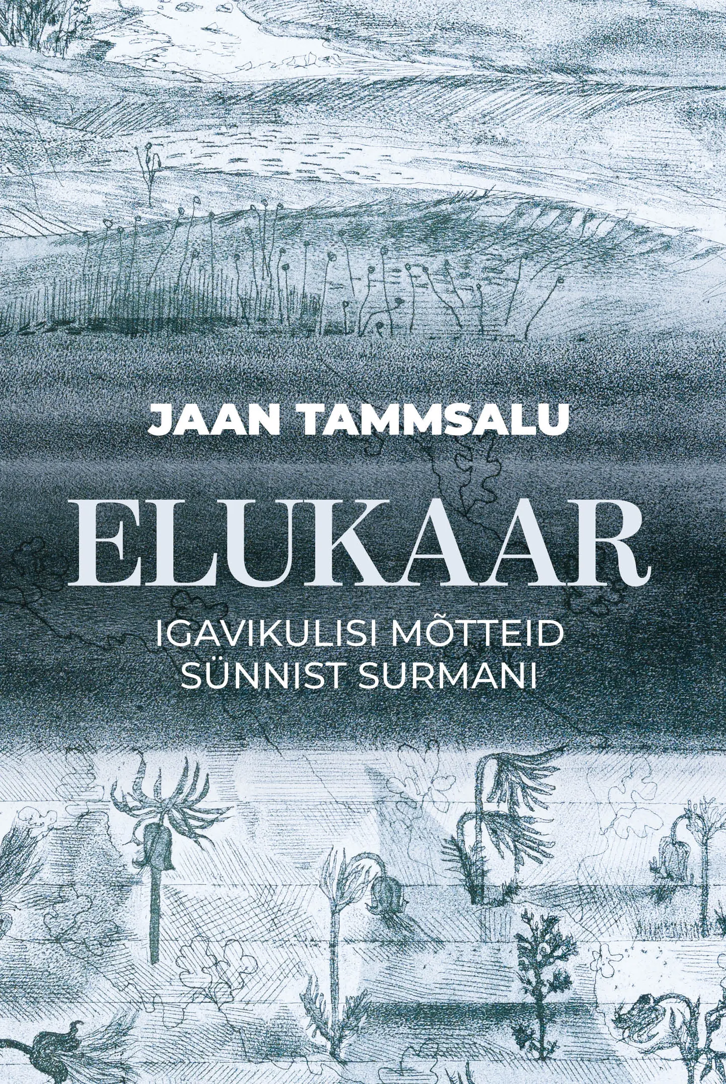 Jaan Tammsalu raamatu esikaas