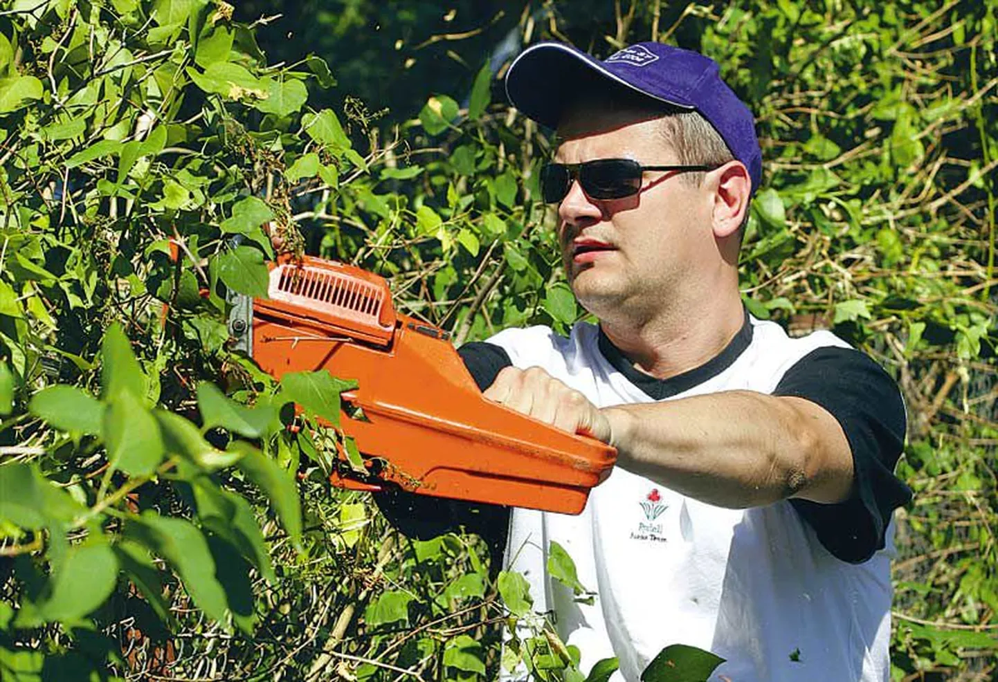 Pildil koduaia sirelihekki pügav Olaf Suuder eelistab puhata Eestis, sõpradel külas käia ja raamatuid lugeda.
