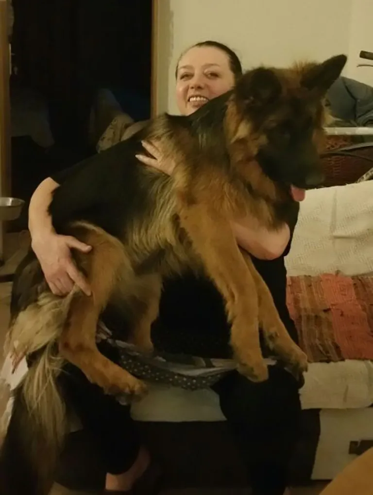 Raksta foto