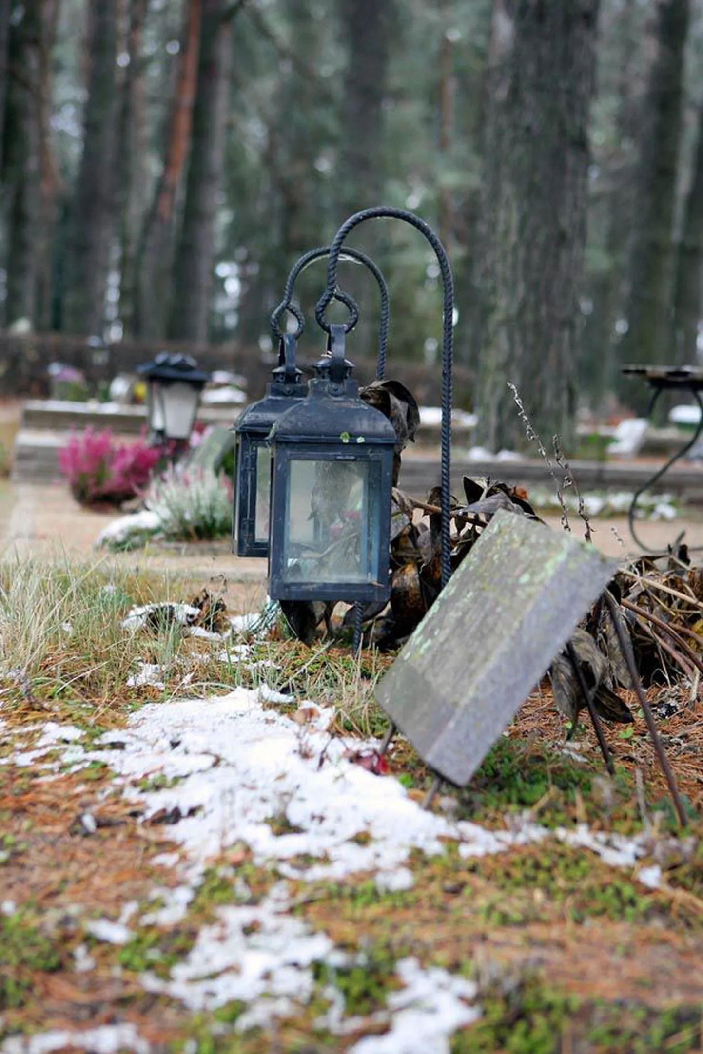 Üldiselt rahulikul Viljandi Metsakalmistul viidi ühelt kalmult kahe nädala jooksul kaks korda ära sinna istutatud lilled. Pildil olev haud ei ole looga seotud.