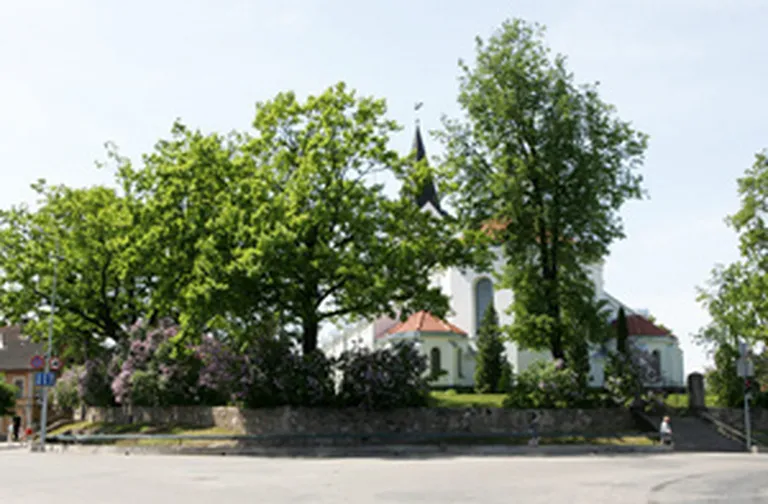 Raksta foto