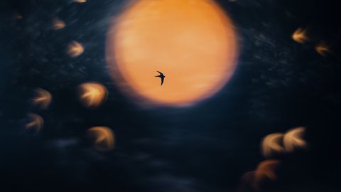 PÄEVAHOROSKOOP ⟩ 7. oktoober: Vähk on tundlik ja loominguline, Veevalaja tööalased eesmärgid vajavad süvenemist
