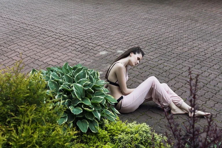Artikli foto