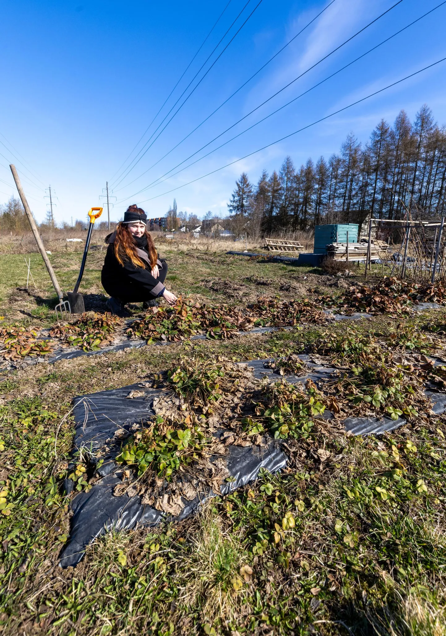 Veeriku seltsi kogukonnaaia eestvedaja Kaisa Jõgeva rõõmustab, et sel kevadel on tajuda maalappidel uut hoogu – inimesed panustavad kogukonna heaks pere ja töö kõrvalt, lisatasu saamata.