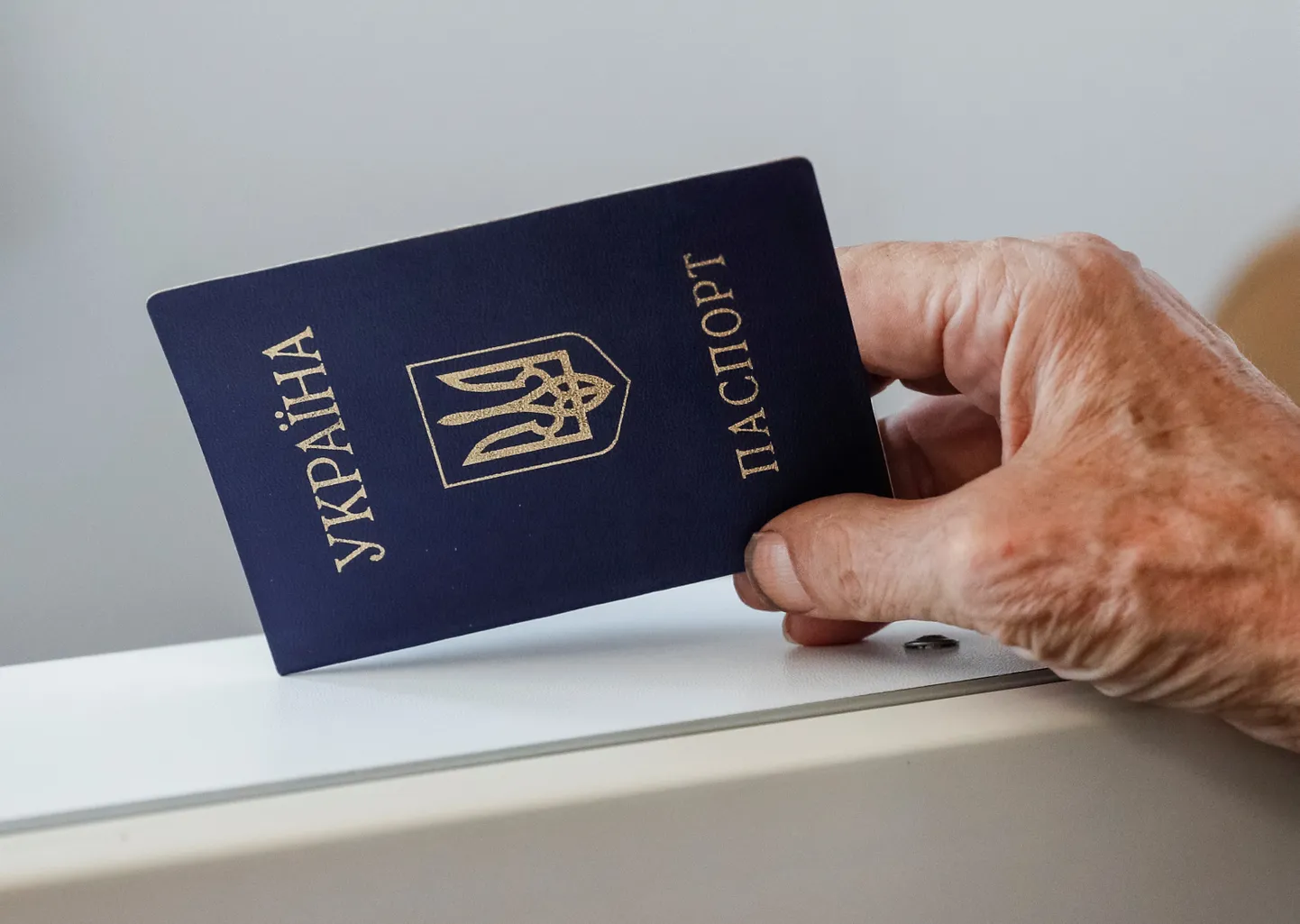Ukraina kodaniku pass.