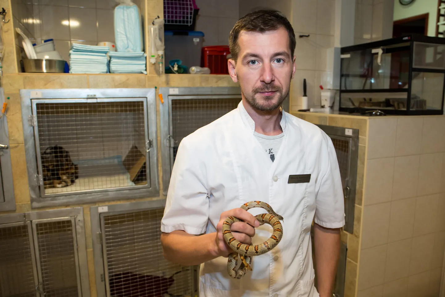 Veterinaardiagnostikakeskuse loomaarst Aleksander Semjonov loomakliiniku maisimaoga.