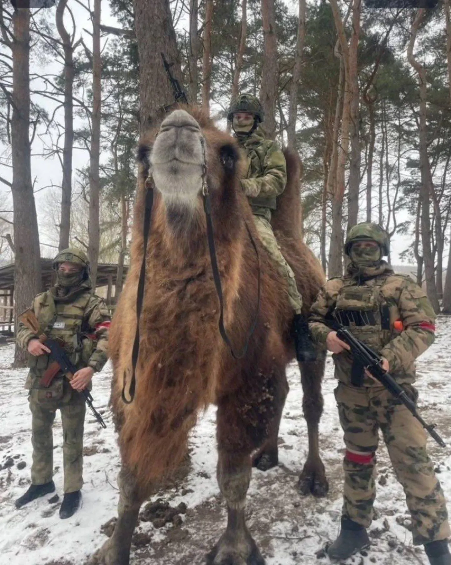 Несколько блогеров выложили снимок, на котором три вооруженных человека в форме стоят рядом с верблюдом.
