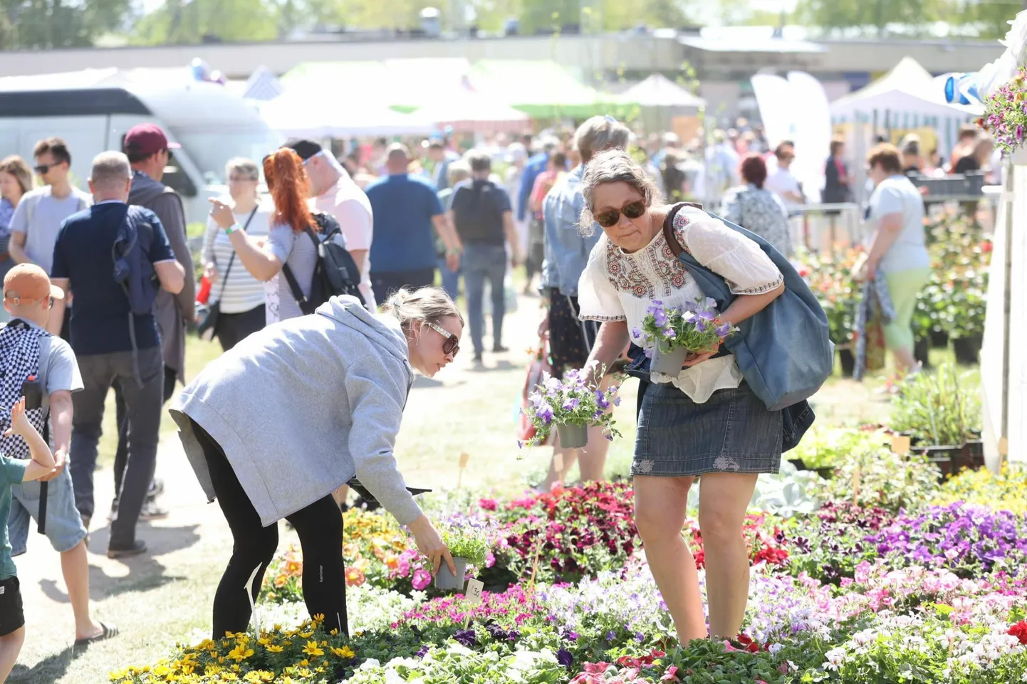 Aiandid, puukoolid ja taimekasvatajad olid laadale toonud kaubavaliku, mis võttis silme eest kirjuks. Midagi leidis pakutava hulgast endale siiski kõik rohenäpud.