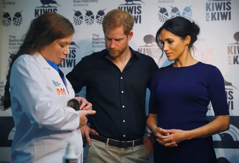 Prints Harry ja hertsoginna Meghan olid maoori tseremoonial, kus nad said maoori nime ja neile kingiti traditsiooniline pleed. Harry ja Meghan nägid ka koorunud kiivisid