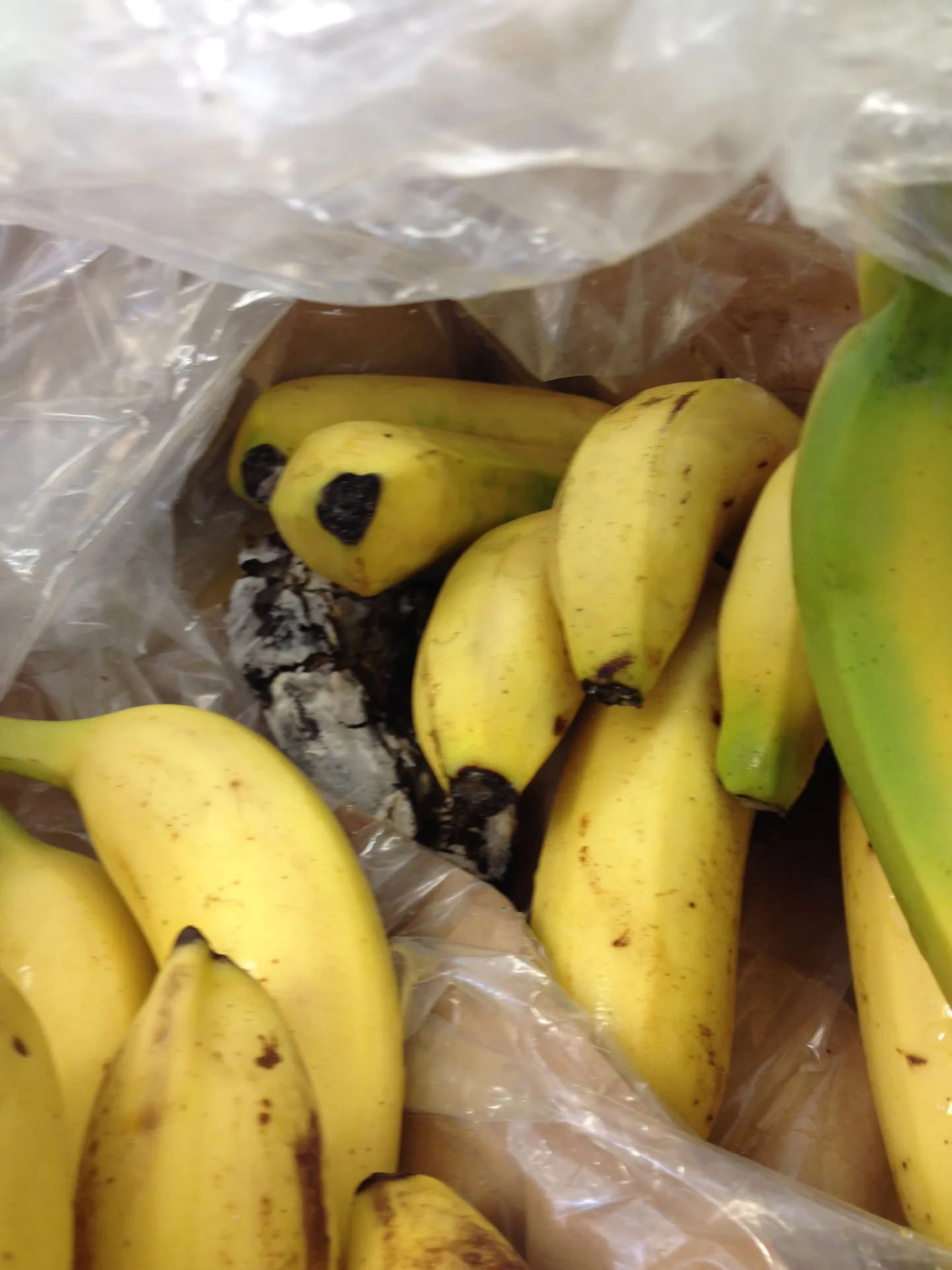 Mädanenud banaan.