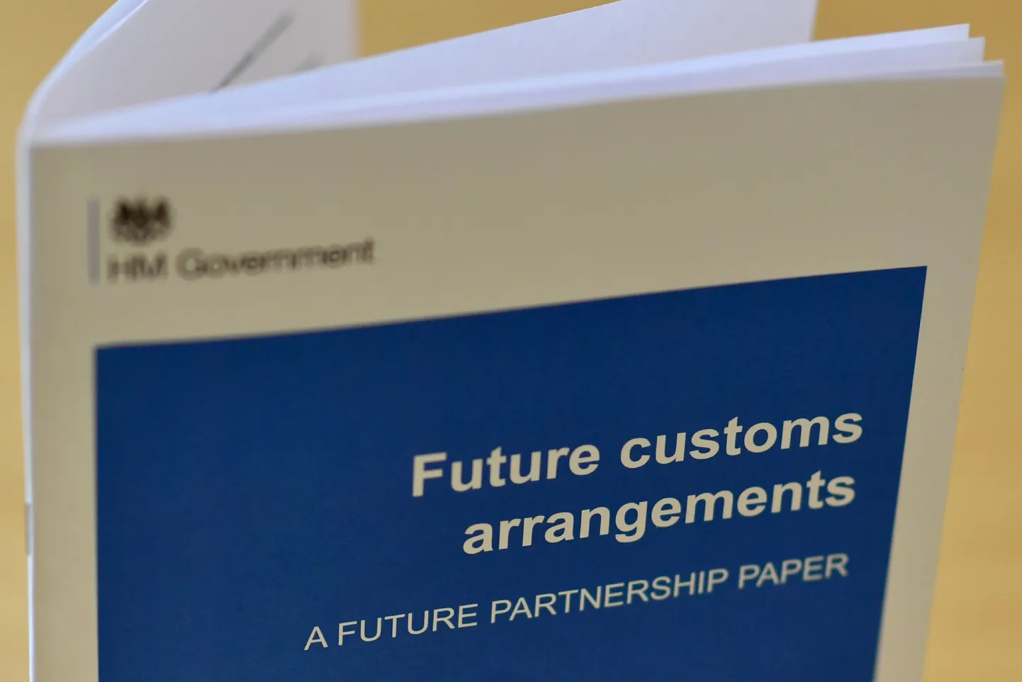 Eile avaldatud tolli puudutav dokument on esimene 12 Brexitit puudutavast poliitikaettepanekust, mille Briti valitsus kolme nädala jooksul avaldab.