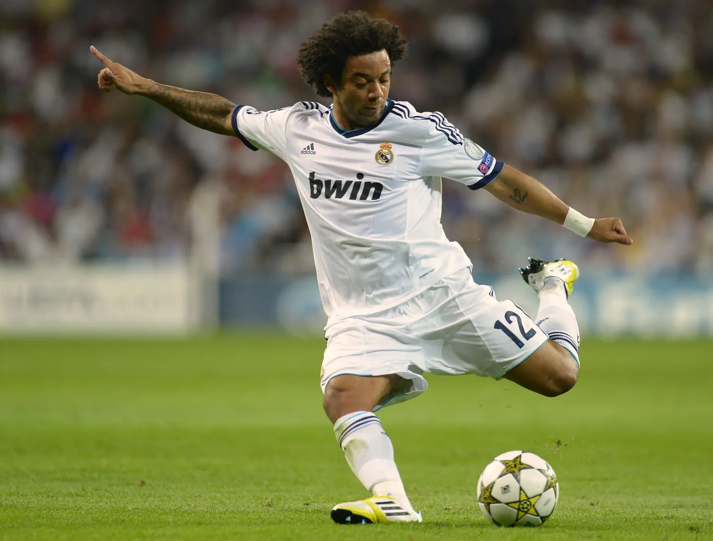 Marcelo