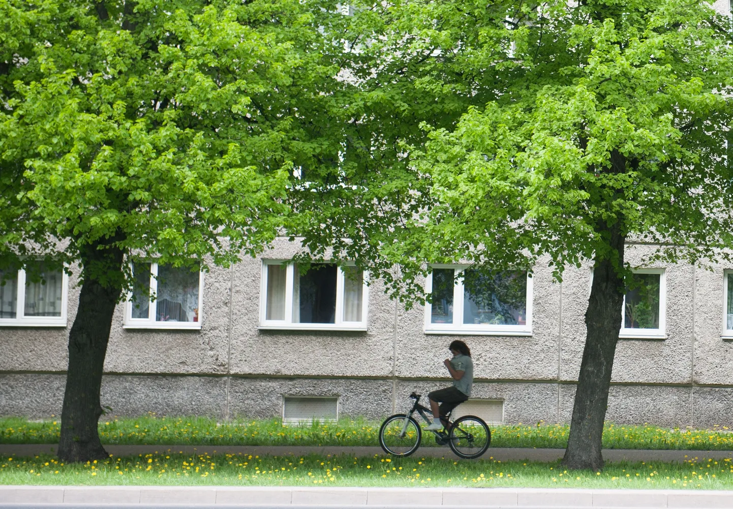 Kortermajad Vilde teel Tallinnas.