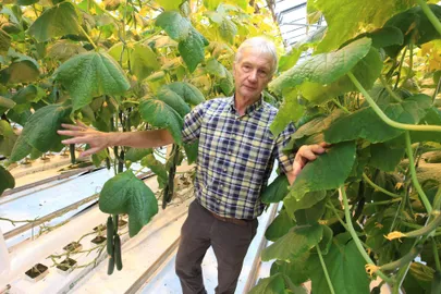 Grüne Fee Eesti tegevjuht Raivo Külasepp.