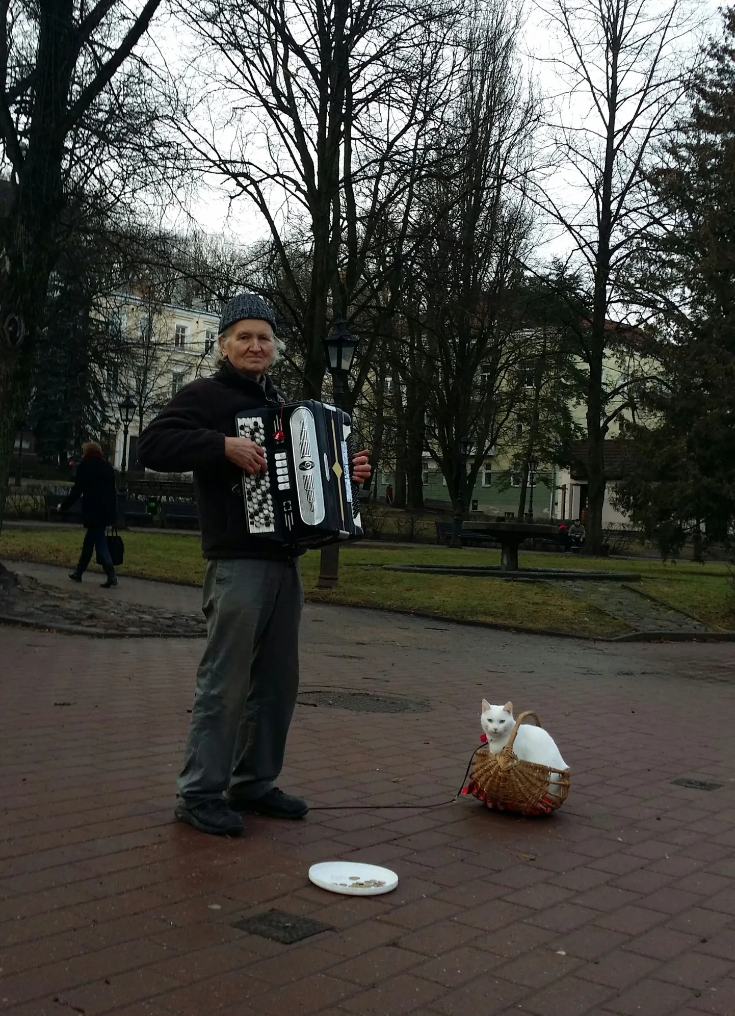Bajaanimees Timo Ilmari ja ta lumivalge kass Küüni tänaval rõõmustavad meelt.