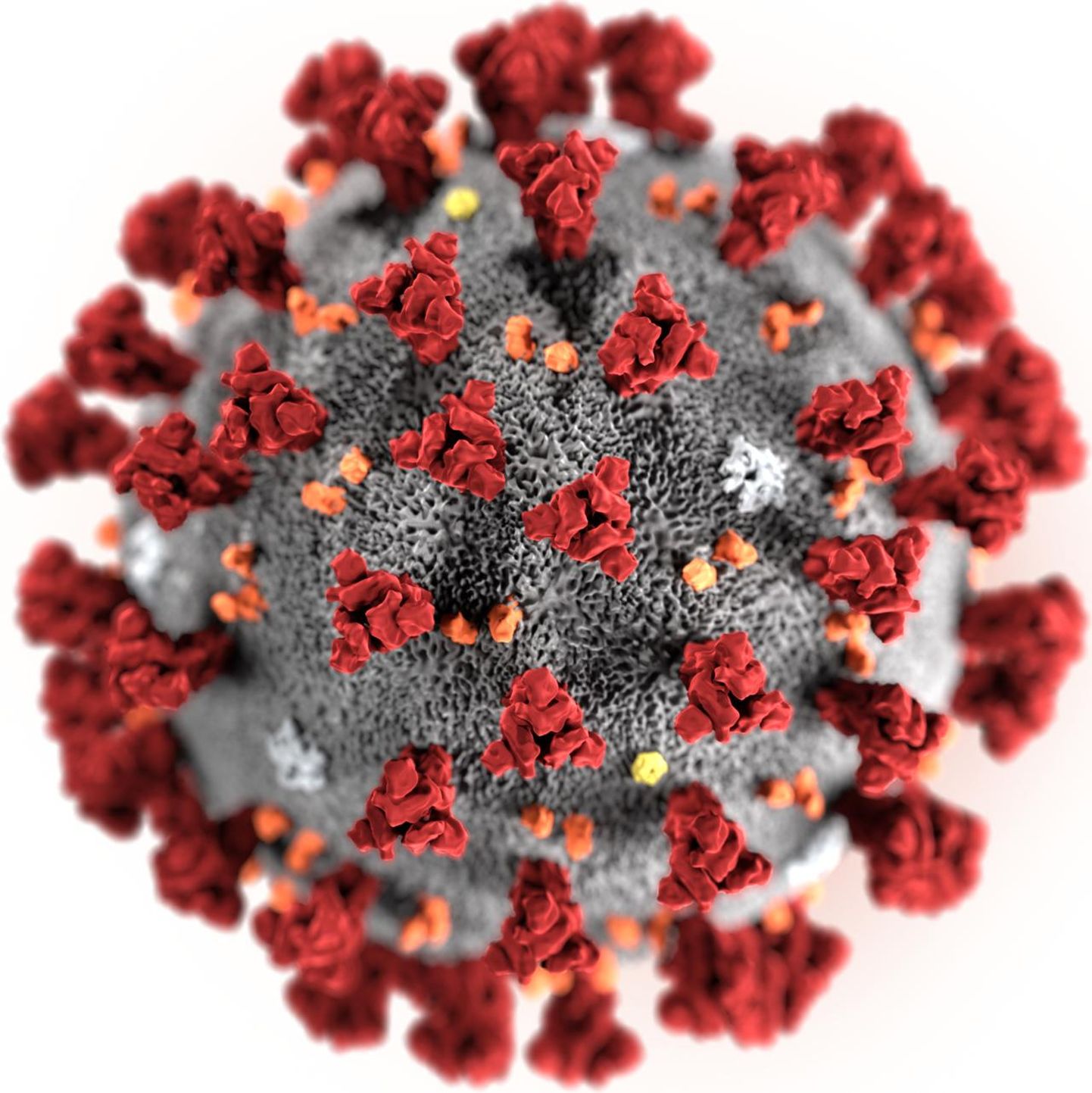 Koroonaviiruse SARS-CoV-2 illustratsioon.