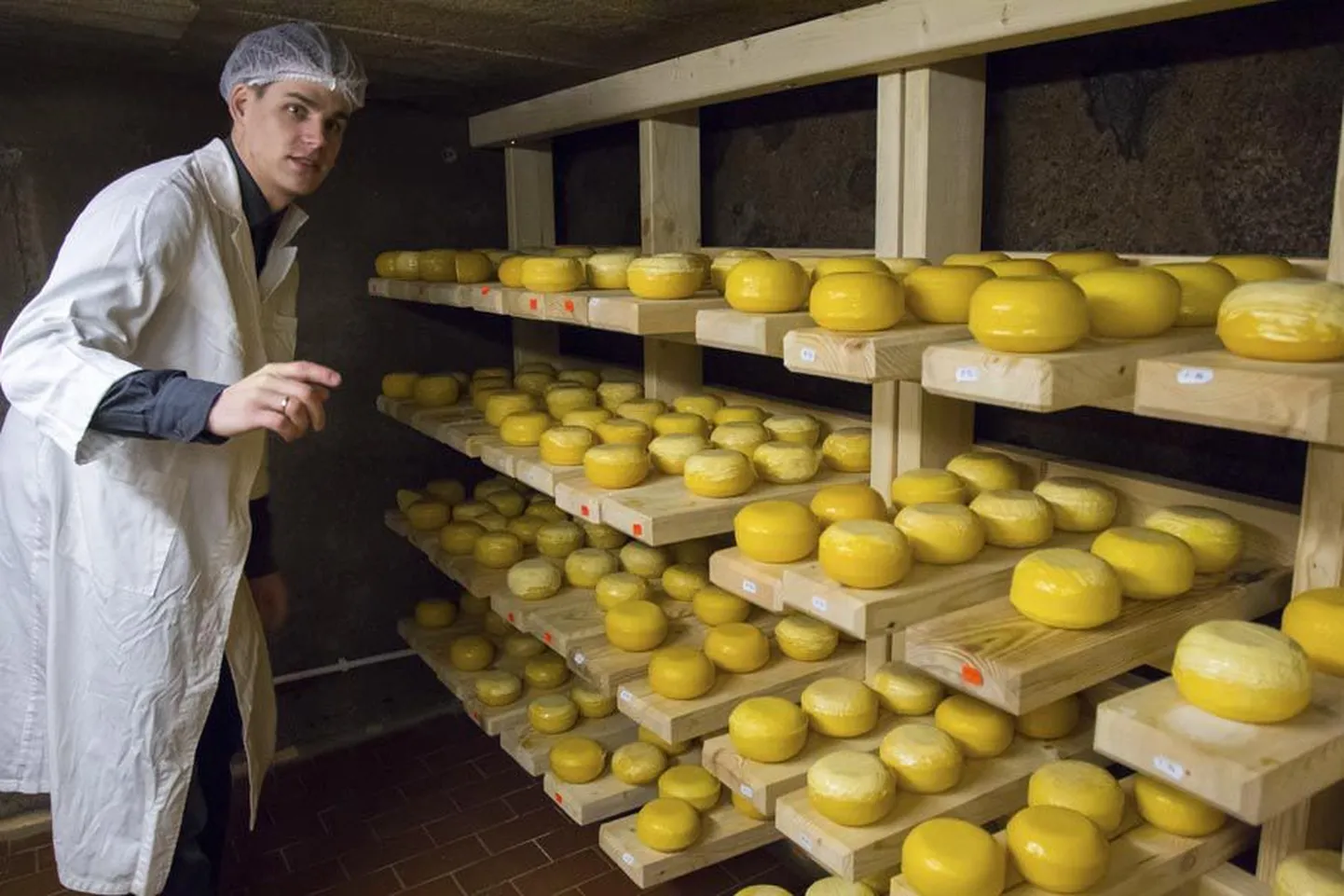 Mullu suvel kohandati Pajumäe talu vana maakelder juustukeldriks ja sestsaadik on talus juustutootmist katsetatud. Kuldkollased mahejuustukerad on laagerdunud noorperemehe Viljar Veidenbergi valvsa jälgimise all.