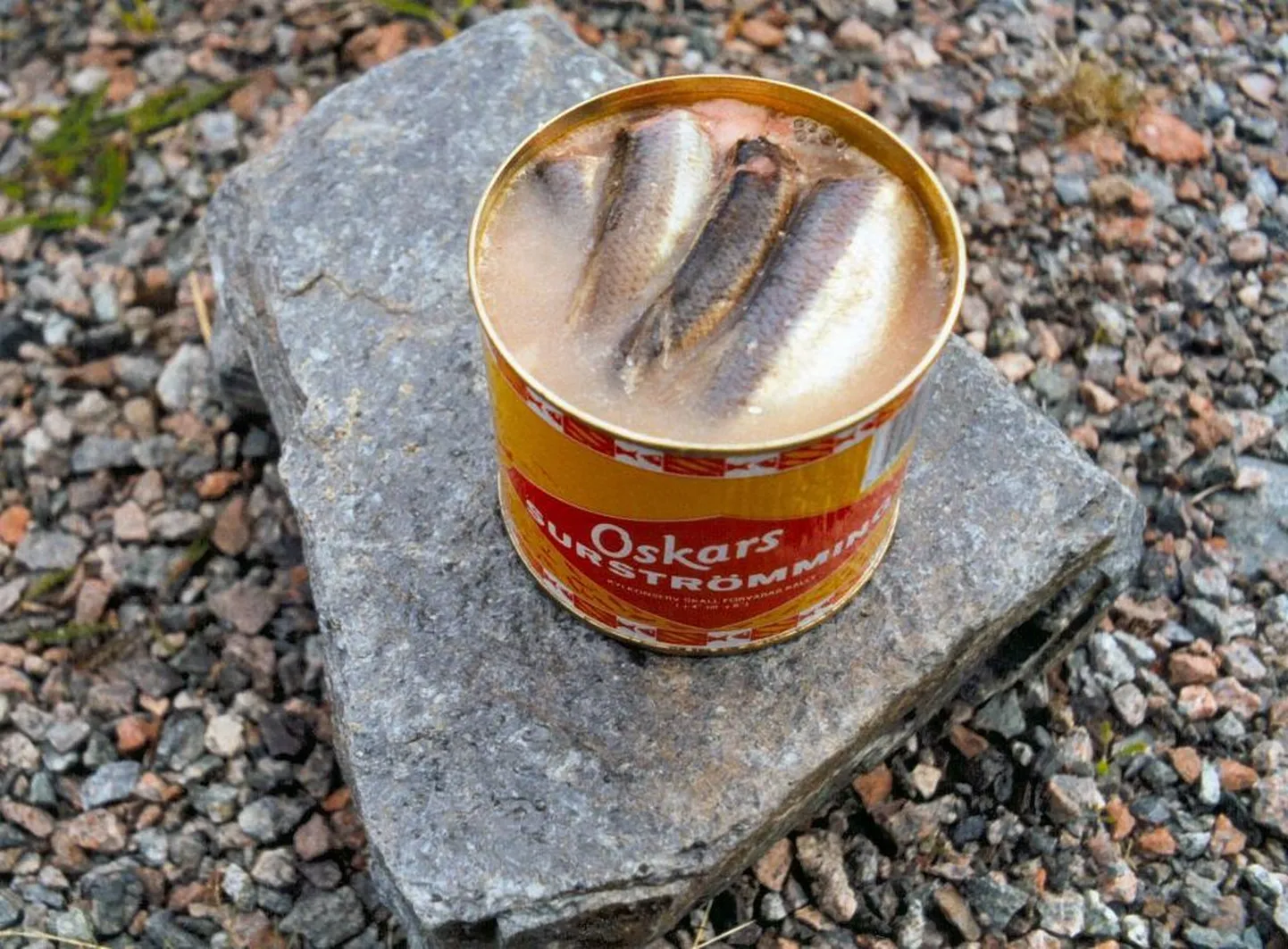 Rootsi üks rahvustoit surströmming ehk hapusilk