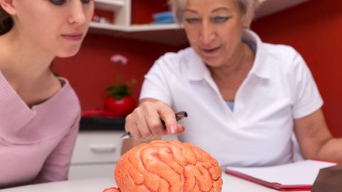 AVASTUS ⟩ Kodus leiduvad ained võivad kahjustada aju