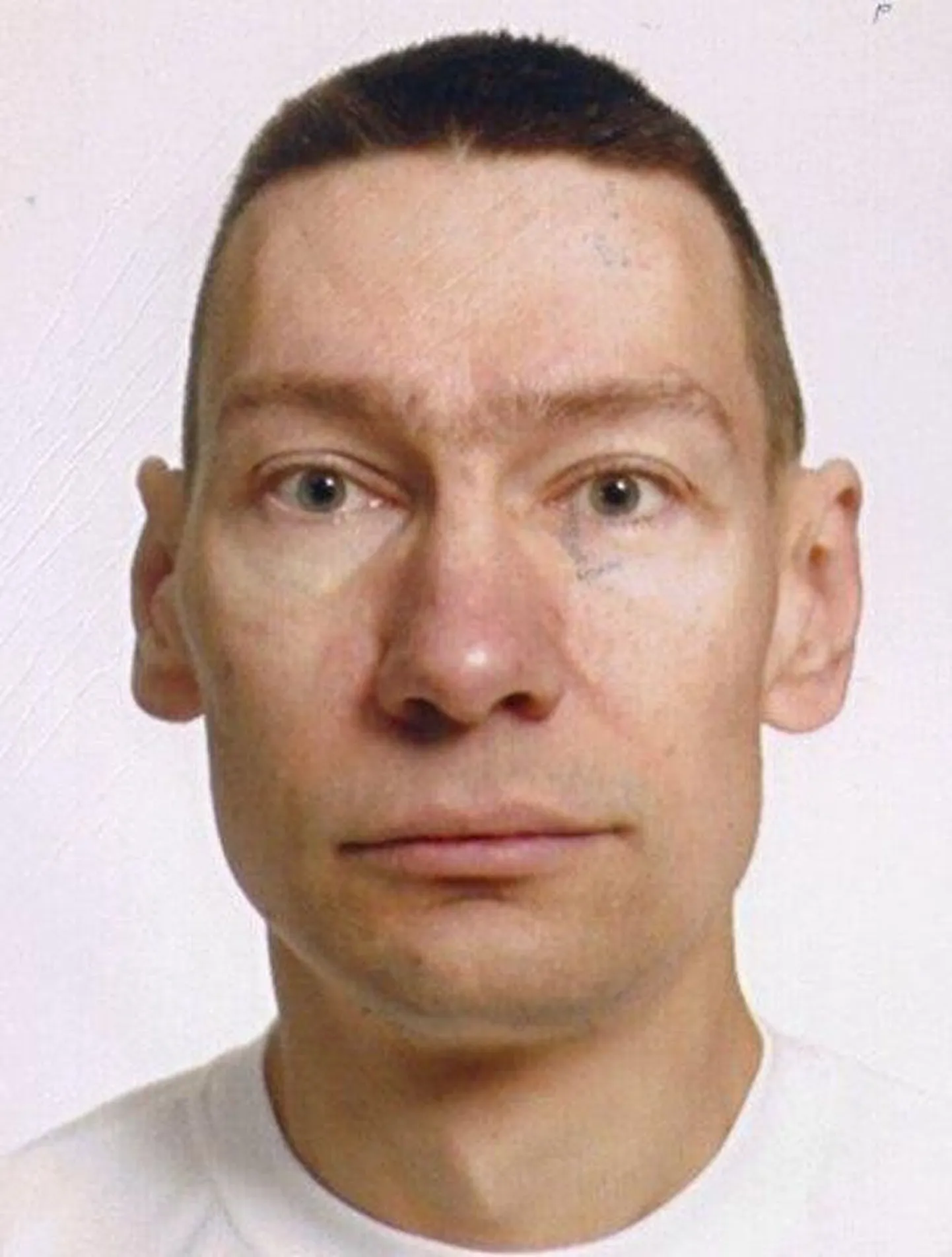 Sander Liivak