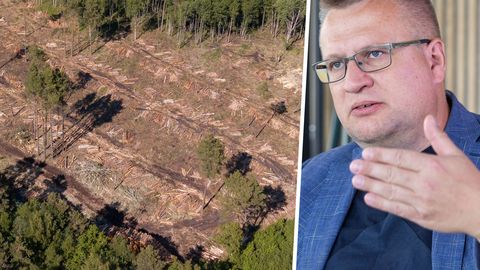 Seni varjatud andmed metsaraie tulevikumahu kohta: saetööstusi ähvardavad näguripäevad
