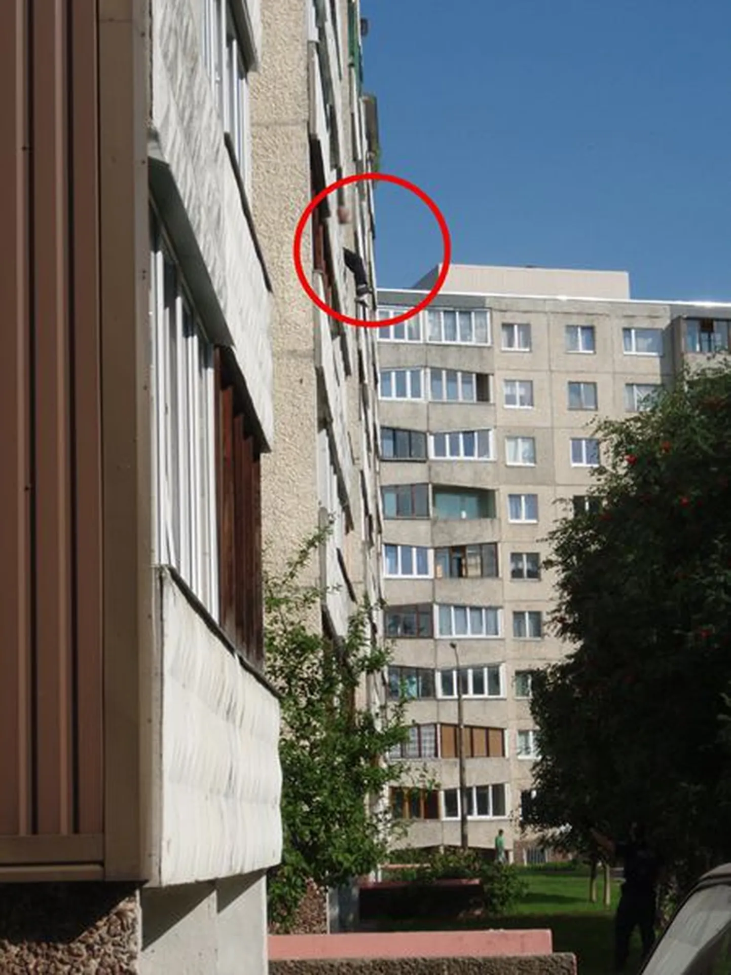 Кружком отмечено окно, из которого выбросился мужчина.