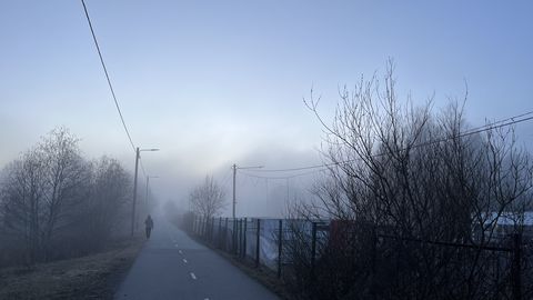 Фото ⟩ Жители Таллинна как в фильме ужасов: по городу гуляет густой туман