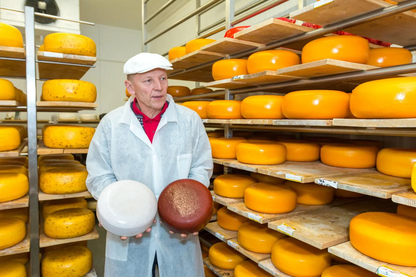 Head of Nopri dairy Tiit Niilo.