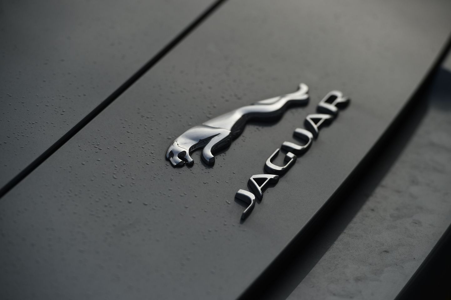 Jaguari logo.