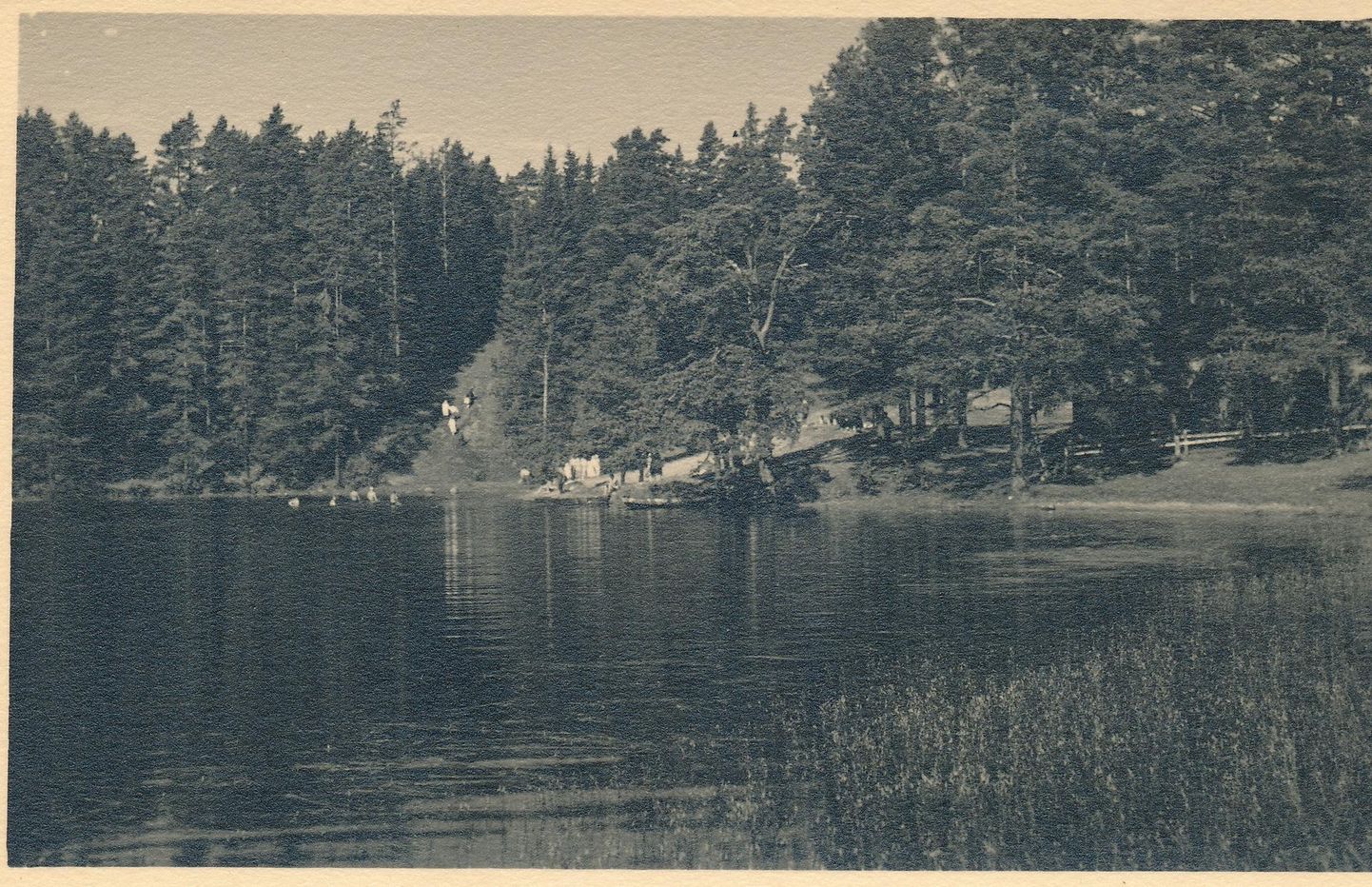 Carl Sarap jõudis oma kaameraga Uljaste järve äärde mõni aasta hiljem, kui Liisa Edile vitsa oli andnud. Aga küllap elasid nad ka siis sealsamas.