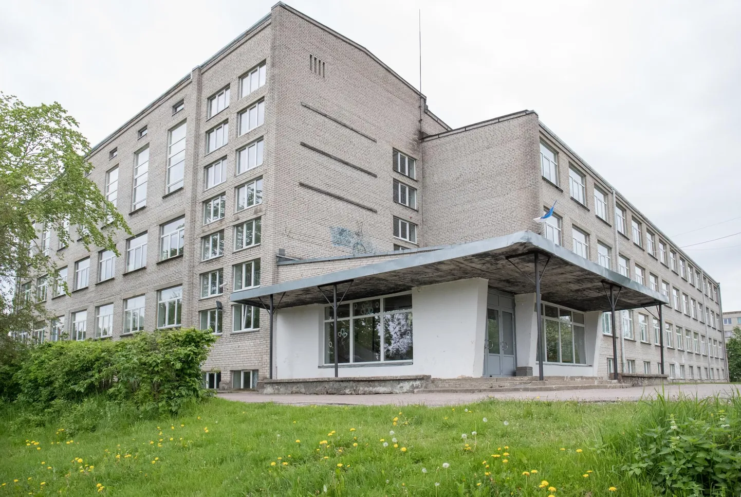 Фото статьи