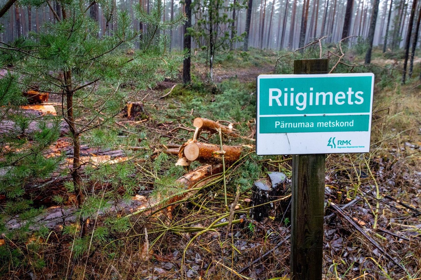 Treimani ja Metsapoole ümbruses pandi kohtuotsusega metsatööd pausile.