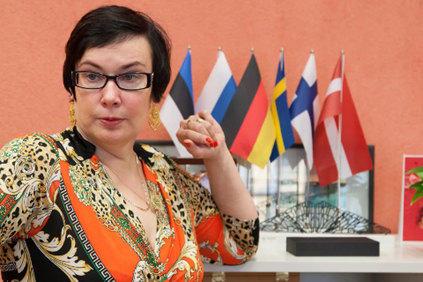 Katri Raigi sõnul vaevab paljusid tema Tallinnas ja Tartus elavaid sõpru, mida narvalased eestlastest tegelikult arvavad. Raamat annab sellele vastuse.