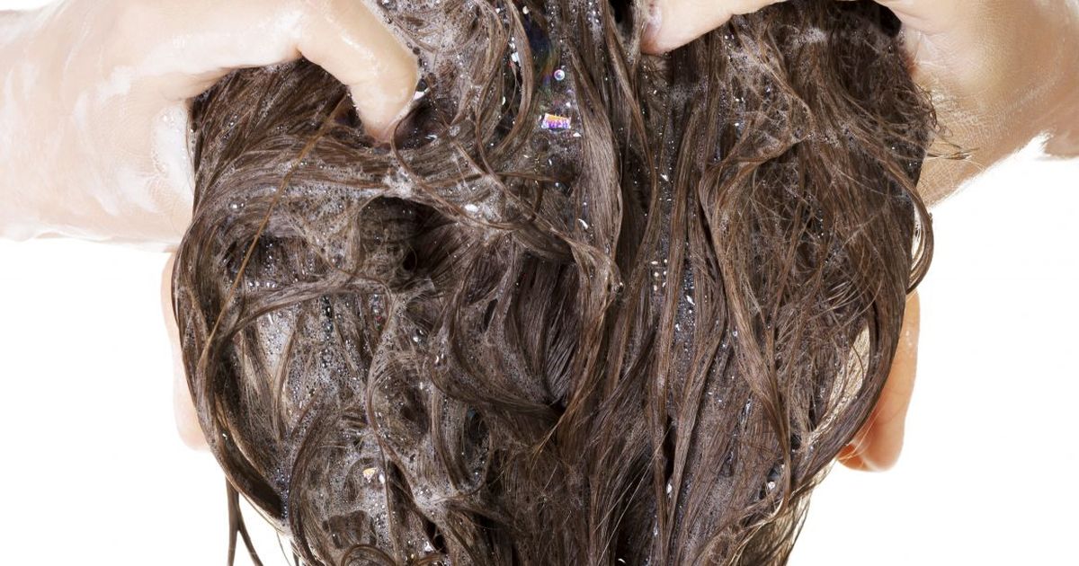 9 растений Аюрведы для красоты и роста волос - Аюрведа-маркет