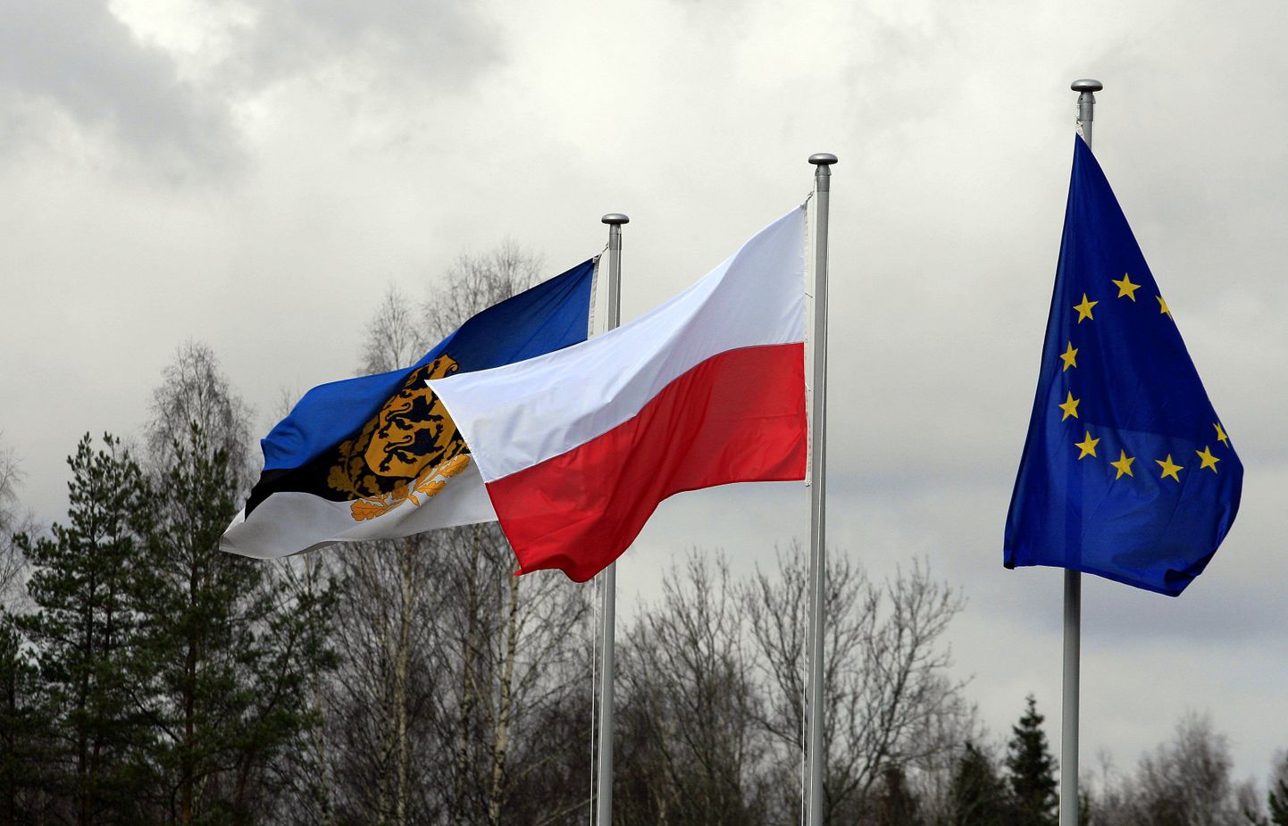 Poola lipp koos Eesti ja Euroopa Liidu lipuga lehvimas.