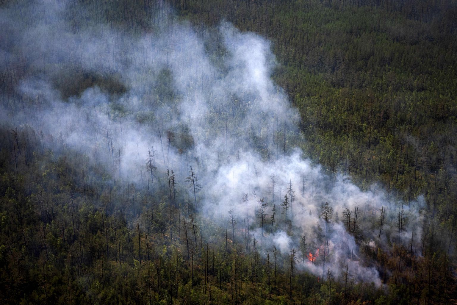 Metsapõleng Venemaal Siberis Sahha Vabariigis