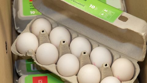 Eesti munatootmine kasvas taas märgatavalt
