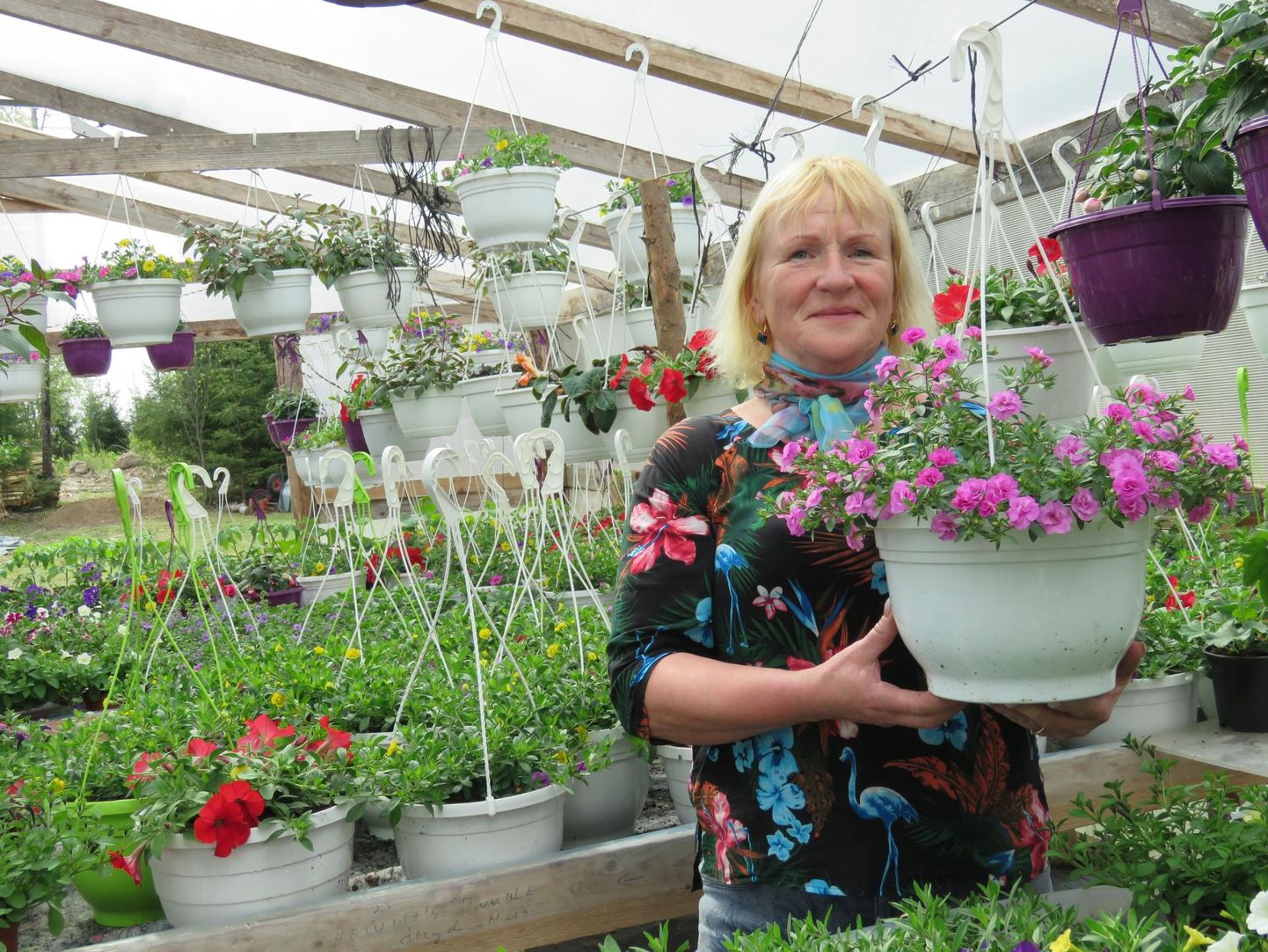 Aiandustalunik Helju Kõiv ütleb, et lilled meeldivad talle väga ning Rahula aiandustalus on tema hing ja süda rahul. FOTO: Maarius Suviste