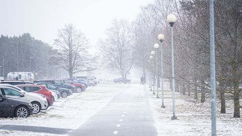 Мороз и снег еще задержатся в Эстонии