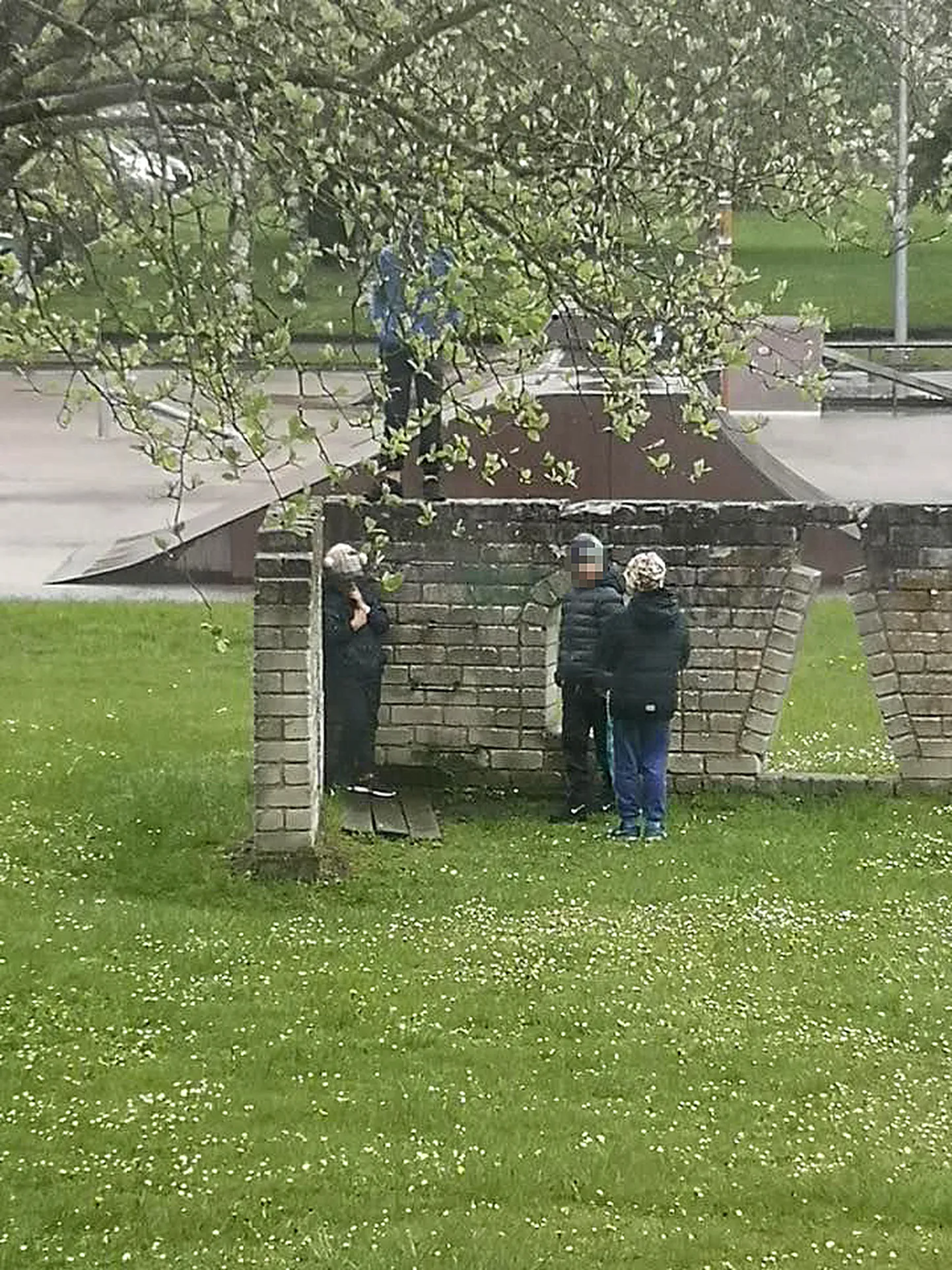 Kiusamisepisood Kuressaare skeitpargis.