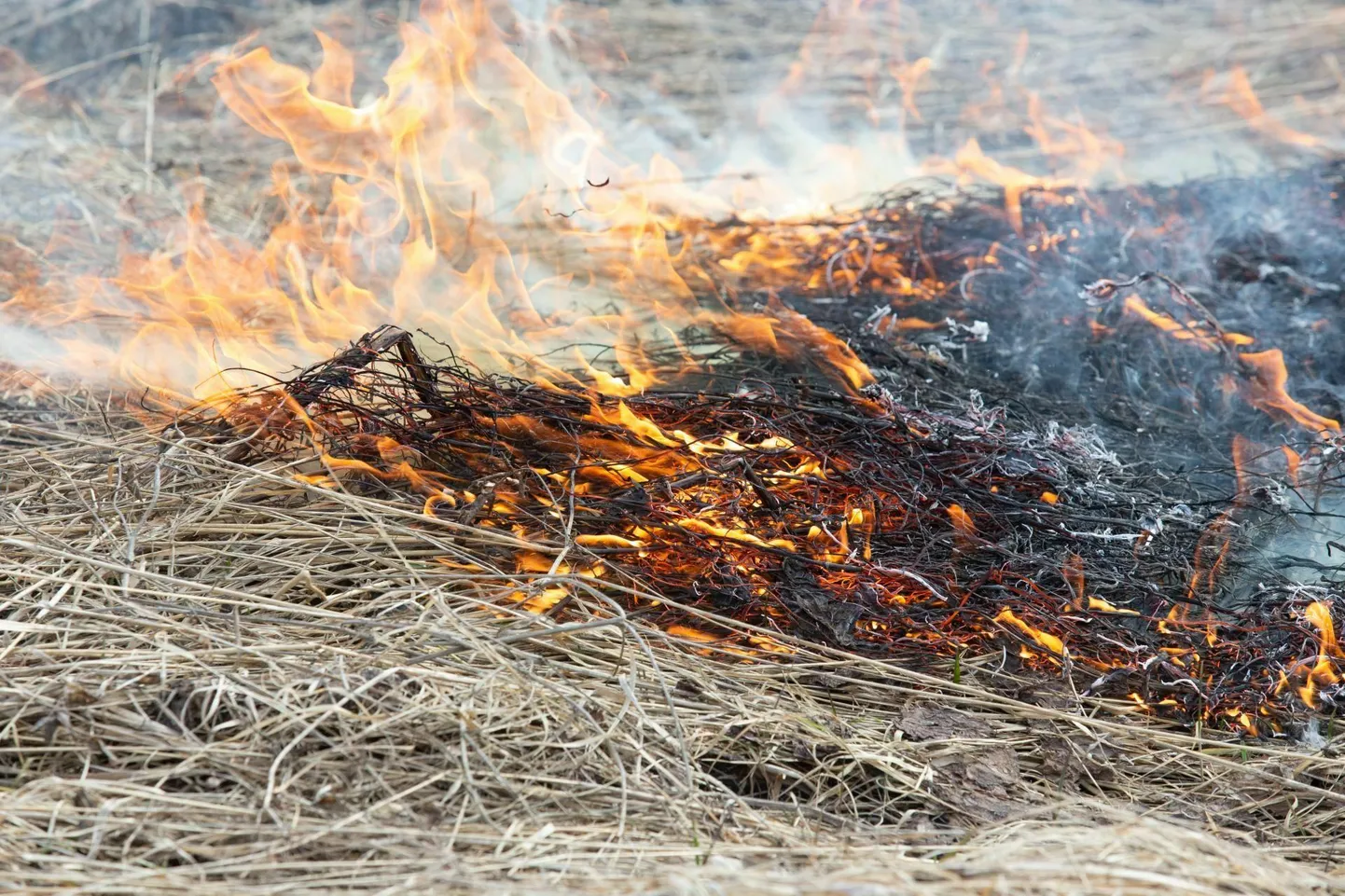 Ehkki Pärnumaal on tuleoht praegu madal või väga madal, käisid päästjad esmaspäeval Lindi ja Parivere külas süttinud maastikku kustutamas.
