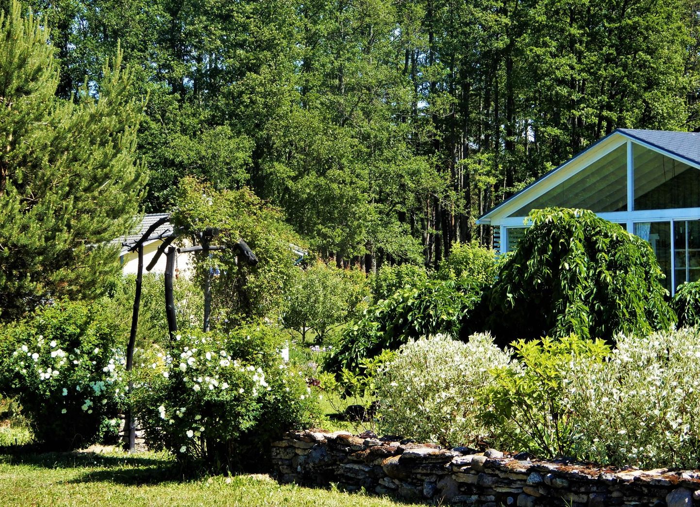 Vabakujuline hekk, mis koosneb siberi kontpuudest ja aed-hortensiatest. Väravat raamivad näärelehised kibuvitsad. Hiljem kasvab kontpuu Gülnara Tartese sõnul aedhortensiast kõrgemaks ja tekib ühesuguse rütmiga lainetus.